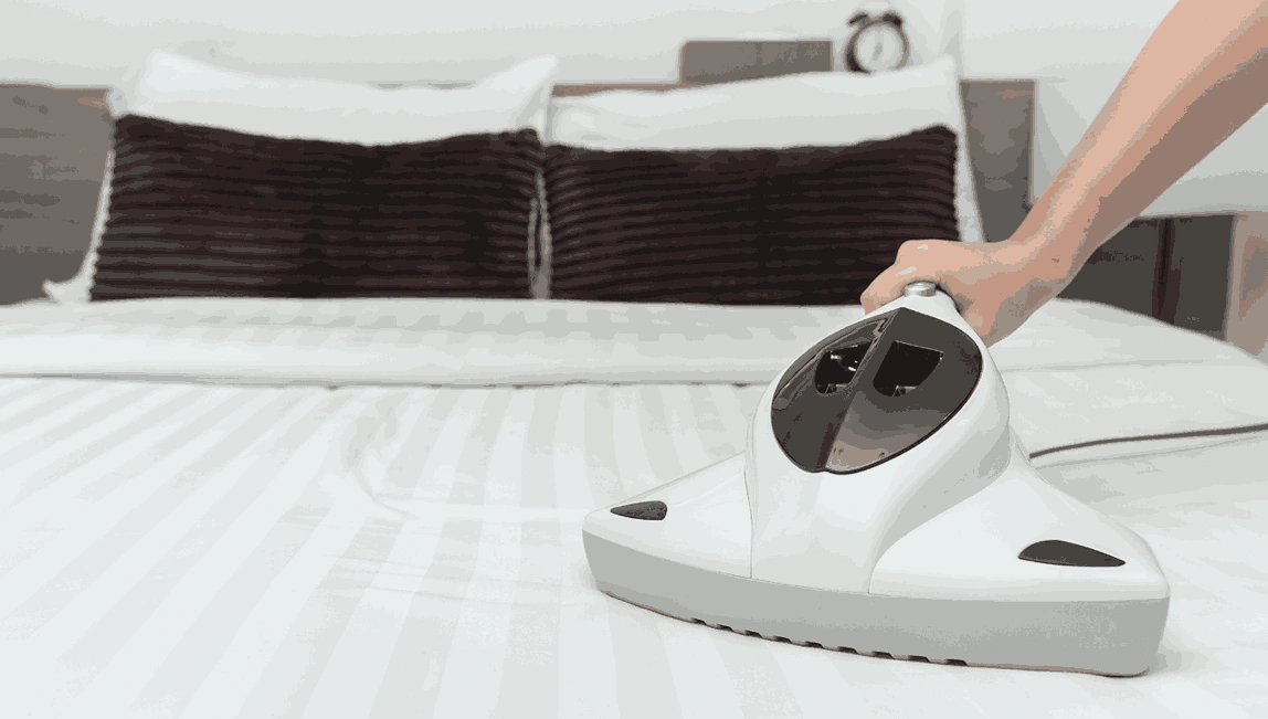 Professional Mattress Cleaning Alfredton